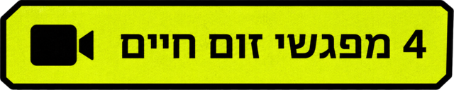 4 מפגשי Zoom חיים